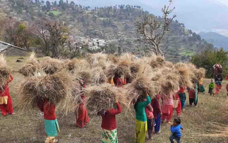 Ghasyari-festival